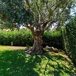 Patio Relax - 200m From - Villasimius *