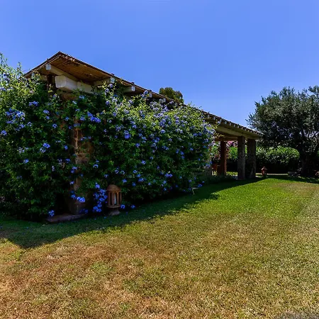 Patio Relax - 200m From - Villasimius Villa